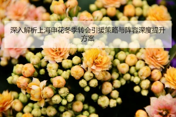 深入解析上海申花冬季转会引援策略与阵容深度提升方案